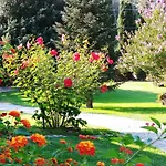 Lucilla Bed & Breakfast
