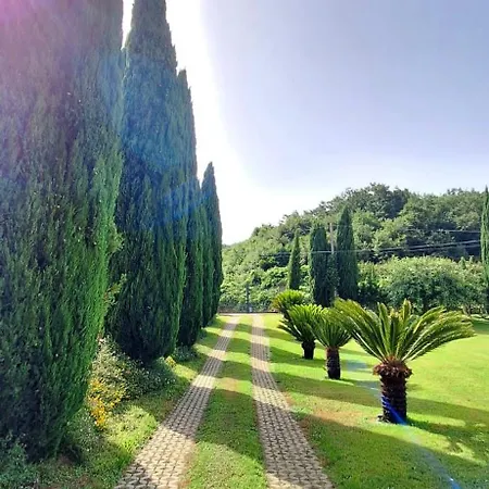 Lucilla Bed & Breakfast Altavilla Silentina