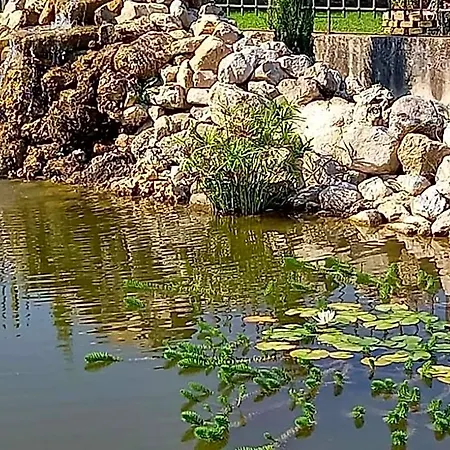 Отель типа 